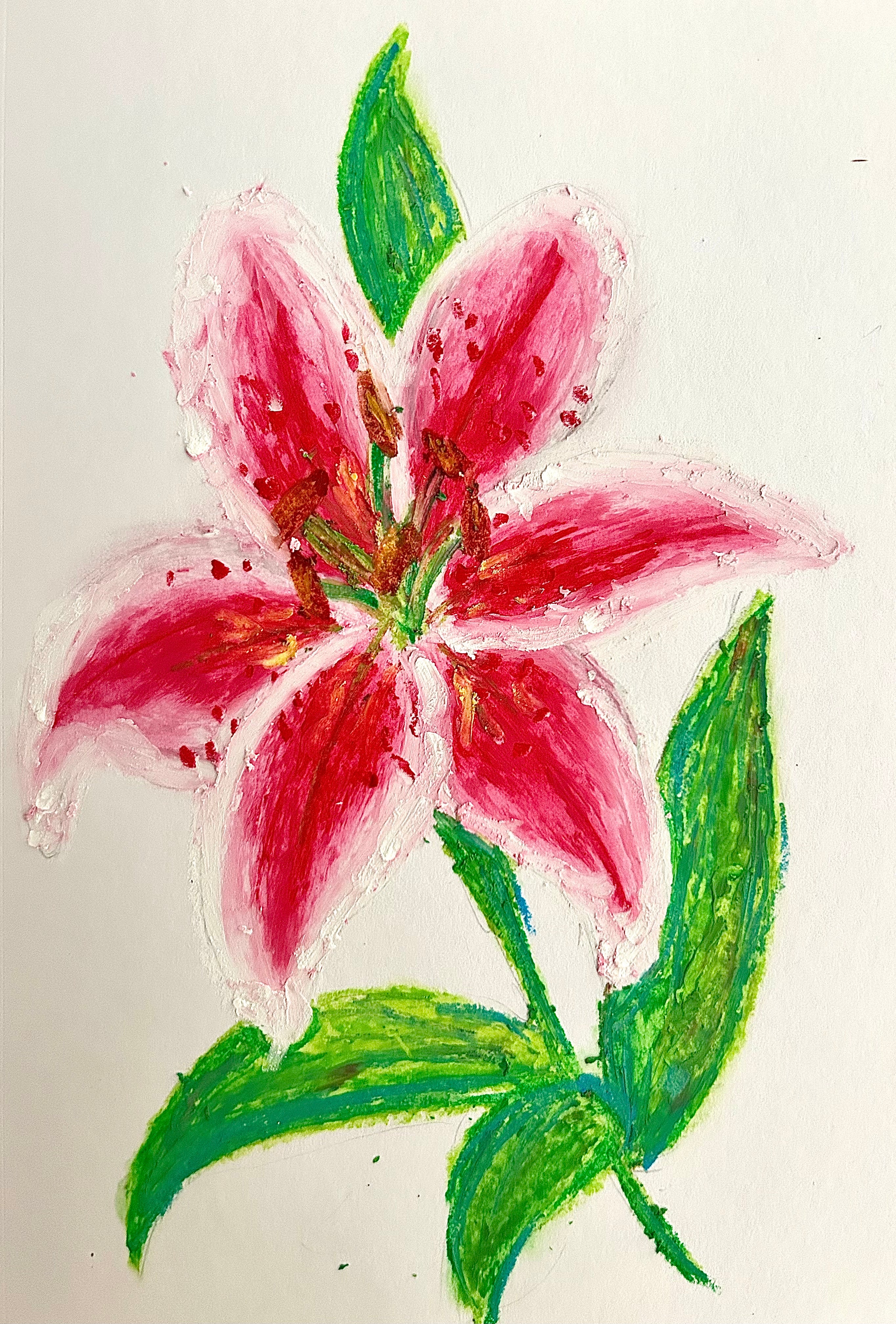 lily print