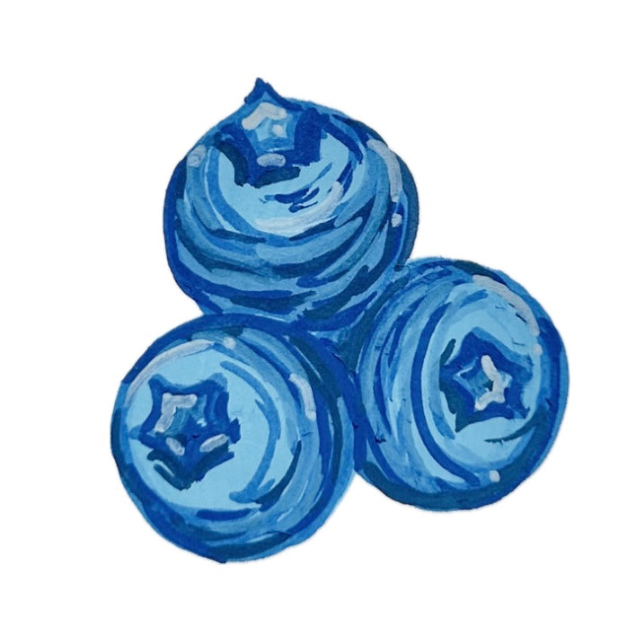 blueberry sticker